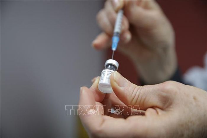 Vaccine phòng COVID-19 của hãng Pfizer/BioNTech. Ảnh tư liệu: AFP/TTXVN