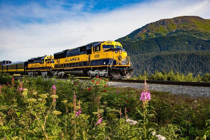 Được biết đến như xương sống của biên giới cuối cùng, đường sắt Alaska lăn bánh từ các cộng đồng ven biển ở Nam Alaska, đi khoảng 756 km vào vùng hoang dã của bang. Năm nay, đường sắt tròn 100 tuổi. Ảnh: Alaska Railroad. 