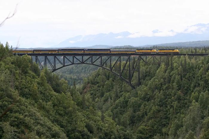  Để đến công viên Quốc gia Denali, các đoàn tàu băng qua cây cầu tuyệt đẹp bắc qua cầu Hurricane Gulch. Cây cầu được xây dựng với hơn 100.000 đinh tán, dài 280 m và cao khoảng 90 m. Ảnh: Alaska Railroad. 