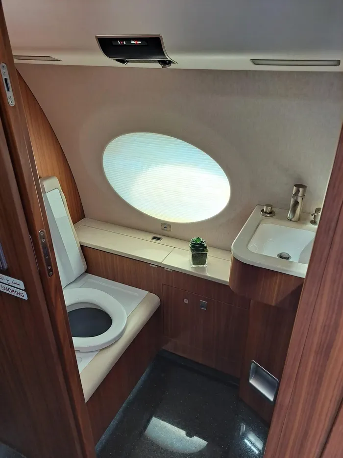  Nội thất toilet có thiết kế sang trọng. Bệ ngồi được làm bằng da thủ công. Ảnh: Stephen Jones/Insider. 