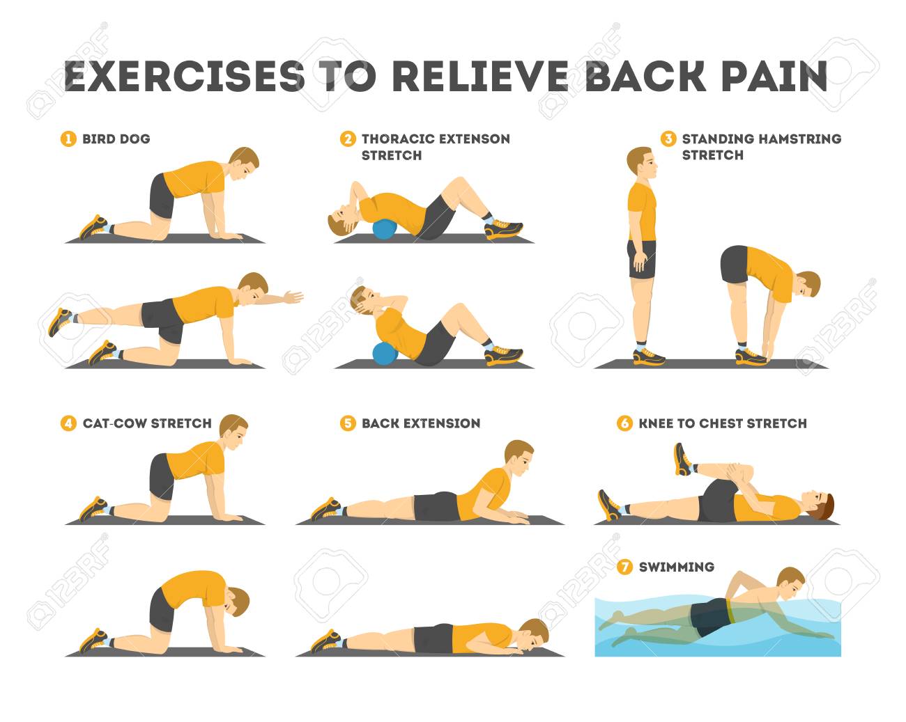119488311-exercise-set-to-relieve-back-pain-stretching-and-training.jpg