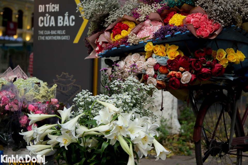 Hoa loa kèn xuất hiện ở nhiều con phố như: Thụy Khuê, Phan Đình Phùng, Thanh Niên, Giảng Võ... những bông hoa loa kèn trắng tinh khôi xuống phố, báo hiệu những ngày Hè sắp về.