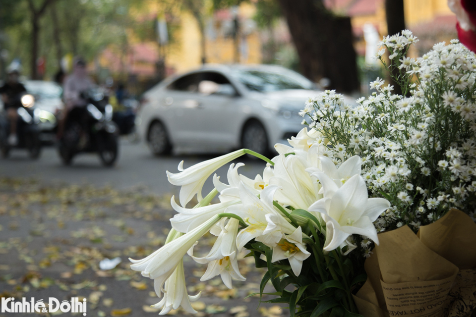 Hoa loa kèn trắng tinh xuống phố gọi tháng Tư về.