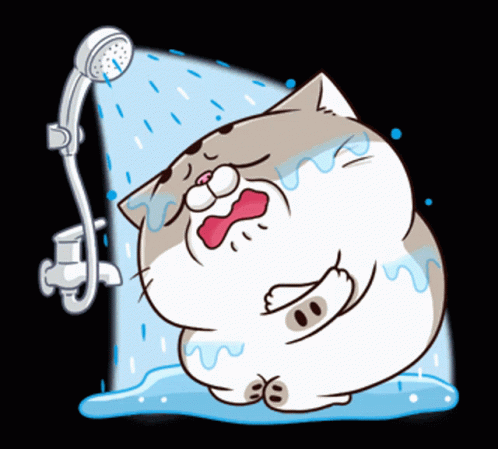 ami-fat-cat-fgcat-shower-gif-19319530.gif