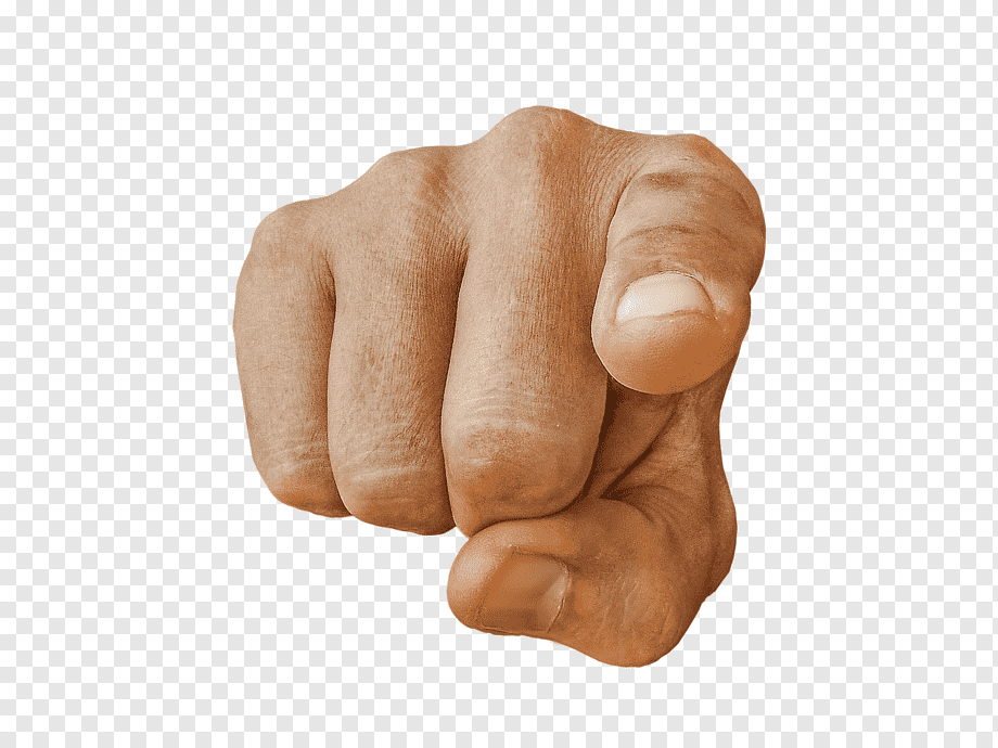 png-transparent-pointing-finger-hand-pointing-direction-point-people-finger-pointing-finger-you-human.png