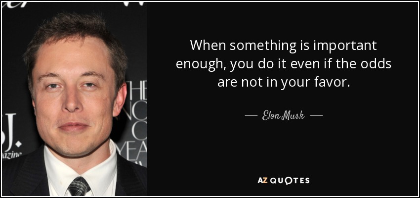 quote-when-something-is-important-enough-you-do-it-even-if-the-odds-are-not-in-your-favor-elon-musk-21-0-084.jpg
